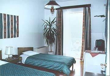 Vouzas Hotel Delphi Ruang foto